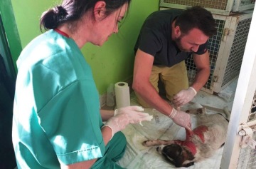 Foto: Český rozhlas